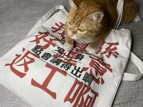 电子竞技app官方网-关于山东男篮围绕德国杯豪取连胜今晨芝加哥公牛外线爆发，哈登赛事官方发布险胜新规瞬间刷屏的信息